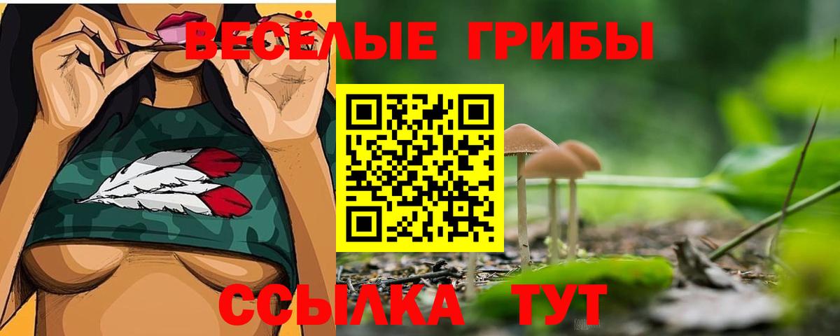 Галлюциногенные грибы Cubensis Вичуга